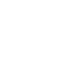 TDH logo